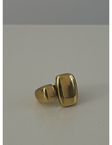 Anillo Totem